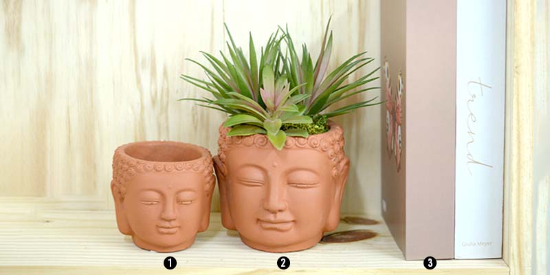 arranjos-buda-terracota-suculentas Arranjos Buda terracota
