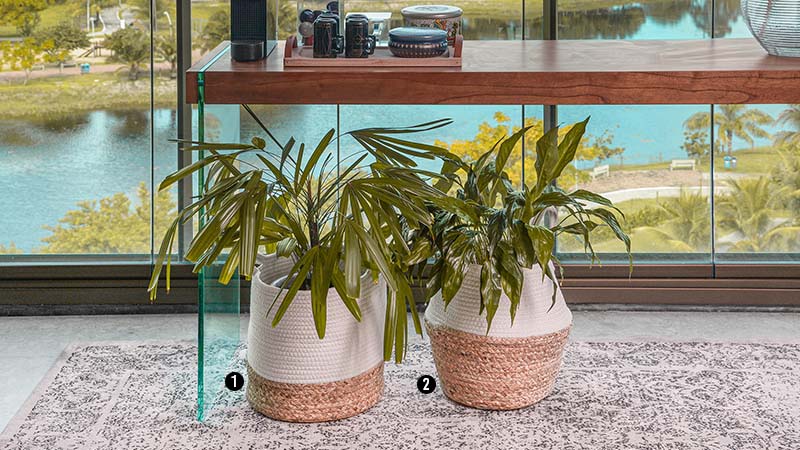 cestos-plantas-janela Cestos com plantas